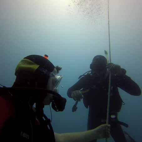 Validation Open Water Diver Plongée Djerba